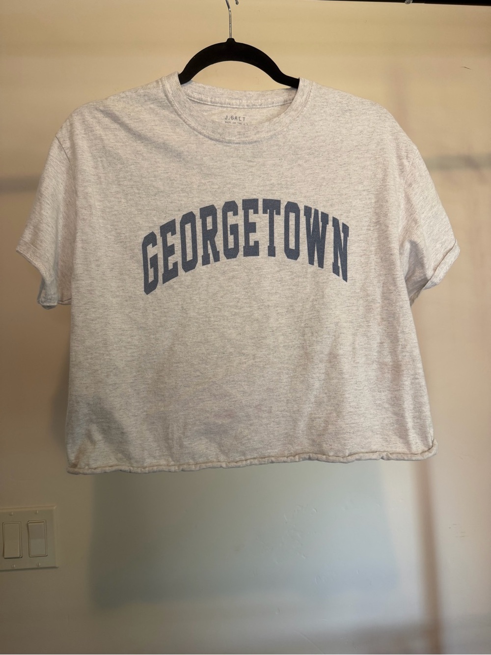 Brandy Melville Georgetown Cropped Tee with Navy Print #14